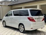 Toyota Alphard 2011 годаүшін7 300 000 тг. в Шымкент – фото 2