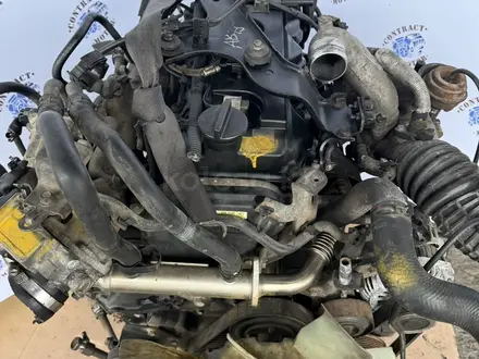 YD25 двигатель 2.5 DDTi Nissan Pathfinder, Nissan Navara, Nissan Bassara за 299 000 тг. в Алматы