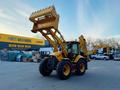 SDLG  Экскаватор-погрузчик SDLG B879F 2026 годаүшін38 900 000 тг. в Алматы – фото 7