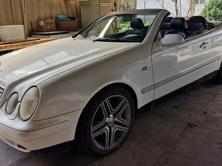 Mercedes-Benz CLK 320 1999 годаүшін6 333 333 тг. в Алматы – фото 4