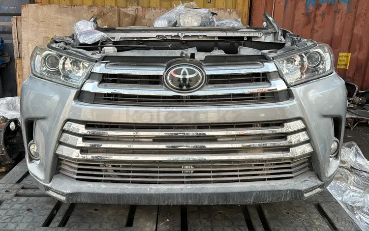 Морда Носкат за 2 000 000 тг. в Алматы