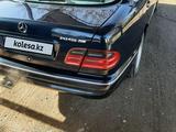 Mercedes-Benz E 320 1999 годаүшін4 500 000 тг. в Шымкент – фото 2