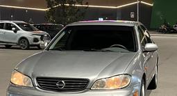 Nissan Maxima 2006 года за 3 900 000 тг. в Алматы