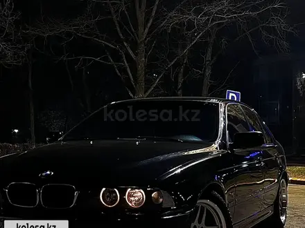 BMW 530 2003 года за 4 500 000 тг. в Тараз – фото 9