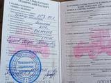 МТЗ (BELARUS)  80 2011 года за 3 000 000 тг. в Есик – фото 2
