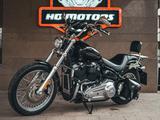 Harley-Davidson  Softail Standard 2020 года за 9 999 999 тг. в Алматы