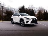 Lexus NX 300 2020 года за 15 500 000 тг. в Шымкент