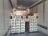 Schmitz 2007 года за 9 500 000 тг. в Шымкент
