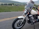 Yamaha  XV250 Virago (V-Star) 2006 года за 1 700 000 тг. в Алтай – фото 2