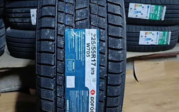 225/55R17 GOFORMүшін28 000 тг. в Алматы