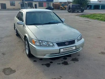 Toyota Camry 2001 года за 4 200 000 тг. в Алматы