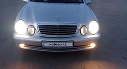 Mercedes-Benz CLK 500 1999 года за 5 600 000 тг. в Астана – фото 3