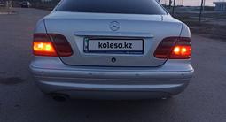 Mercedes-Benz CLK 500 1999 года за 6 450 000 тг. в Астана – фото 5