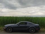 Ford Mustang 2007 года за 7 000 000 тг. в Алматы – фото 3