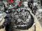 МКПП 4М40 Nissan Almera N16 Primera Almera Classic Sunny QG15 QG16 QG18үшін250 000 тг. в Костанай
