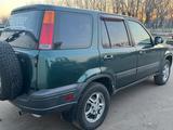 Honda CR-V 1999 годаүшін2 700 000 тг. в Петропавловск – фото 3