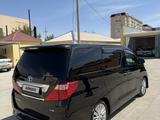 Toyota Alphard 2011 года за 6 500 000 тг. в Туркестан – фото 3