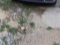 Volkswagen Golf 2002 года за 1 800 000 тг. в Шымкент – фото 6
