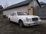 Mercedes-Benz E 240 1998 года за 1 700 000 тг. в Павлодар