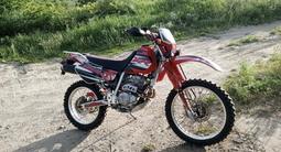 Honda  XR 250 2001 года за 1 800 000 тг. в Талдыкорган – фото 2