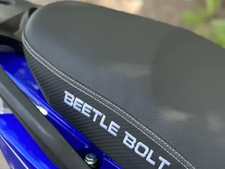 Peda  Beetle Bolt Gts 2023 года за 330 000 тг. в Алматы – фото 23