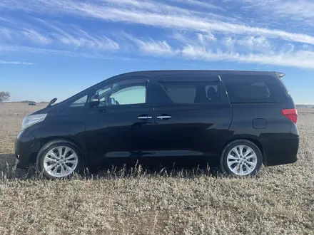 Toyota Alphard 2010 года за 7 000 000 тг. в Бестобе – фото 3