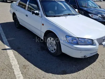 Toyota Camry 1999 года за 3 500 000 тг. в Семей