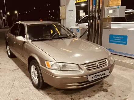 Toyota Camry 1999 года за 3 500 000 тг. в Семей