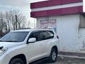 Toyota Land Cruiser Prado 2013 года за 13 600 000 тг. в Шымкент – фото 3
