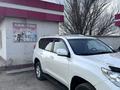 Toyota Land Cruiser Prado 2013 года за 13 600 000 тг. в Шымкент – фото 2