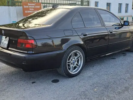 BMW 525 1999 года за 3 700 000 тг. в Алматы – фото 20