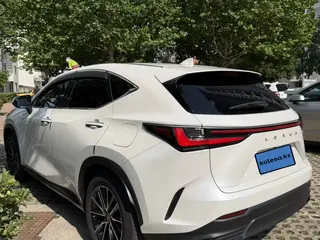 Lexus NX 250