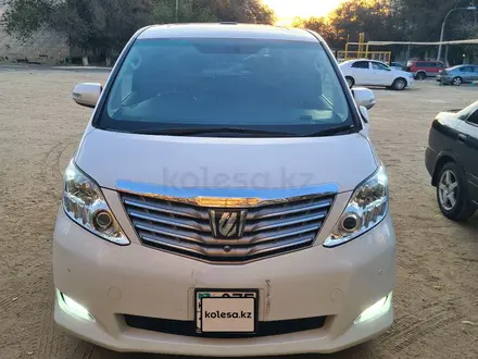 Toyota Alphard 2010 года за 14 400 000 тг. в Байконыр