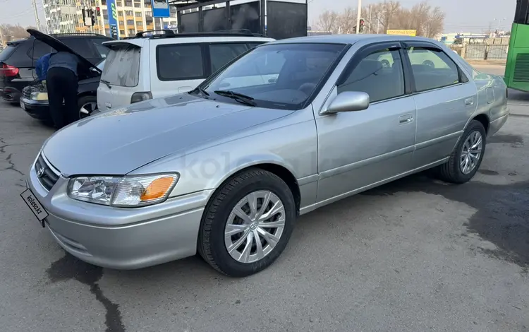 Toyota Camry 2001 года за 3 700 000 тг. в Алматы