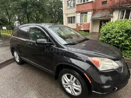 Honda CR-V 2010 года за 7 800 000 тг. в Алматы