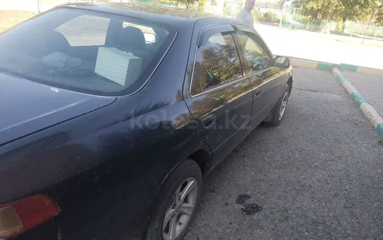 Toyota Camry 2001 годаүшін3 600 000 тг. в Зайсан