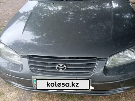 Toyota Camry 1997 года за 1 800 000 тг. в Алматы