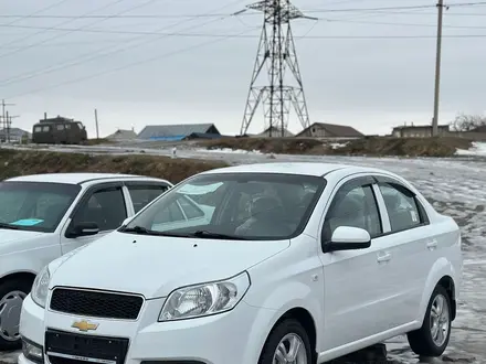 Chevrolet Nexia 2020 года за 5 200 000 тг. в Шымкент