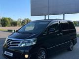 Toyota Alphard 2005 годаүшін9 700 000 тг. в Шымкент – фото 3