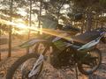 Racer  Panther 2020 годаүшін600 000 тг. в Кокшетау – фото 2