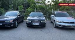 Nissan Cefiro 1996 года за 1 999 999 тг. в Алматы – фото 4