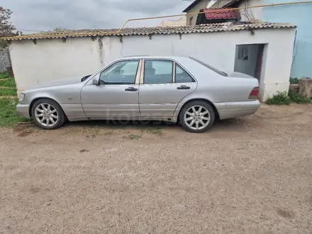 Mercedes-Benz S 320 1996 года за 2 600 000 тг. в Шымкент – фото 6