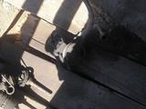 Насос гидро усилителя за 10 000 тг. в Усть-Каменогорск