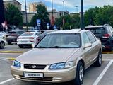 Toyota Camry 2000 года за 3 100 000 тг. в Шымкент