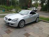 Mercedes-Benz SLK 280 2007 года за 8 950 000 тг. в Алматы – фото 4