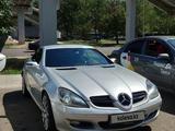 Mercedes-Benz SLK 280 2007 года за 8 950 000 тг. в Алматы – фото 2