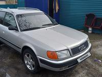 Audi 100 1992 годаүшін2 800 000 тг. в Петропавловск