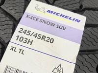 Michelin X-Ice Snow SUV 245/45 R20 103H за 250 000 тг. в Талдыкорган