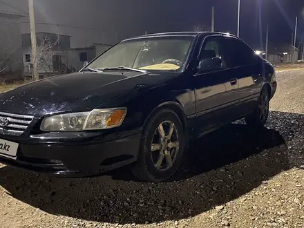 Toyota Camry 2000 года за 3 100 000 тг. в Туркестан – фото 2