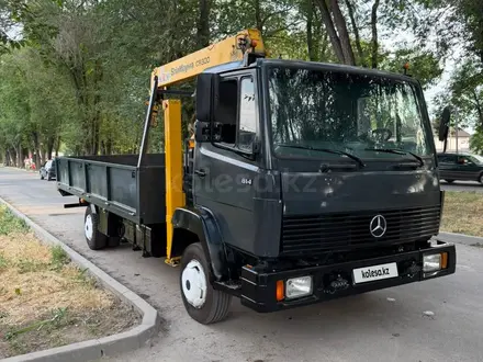 Mercedes-Benz  814 1991 года за 11 200 000 тг. в Алматы